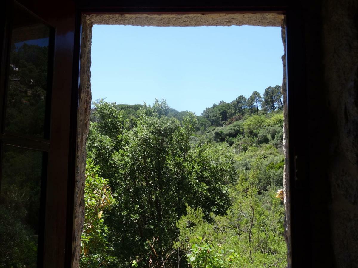 My Room - Villa Vina - Ter Monchique Exterior foto